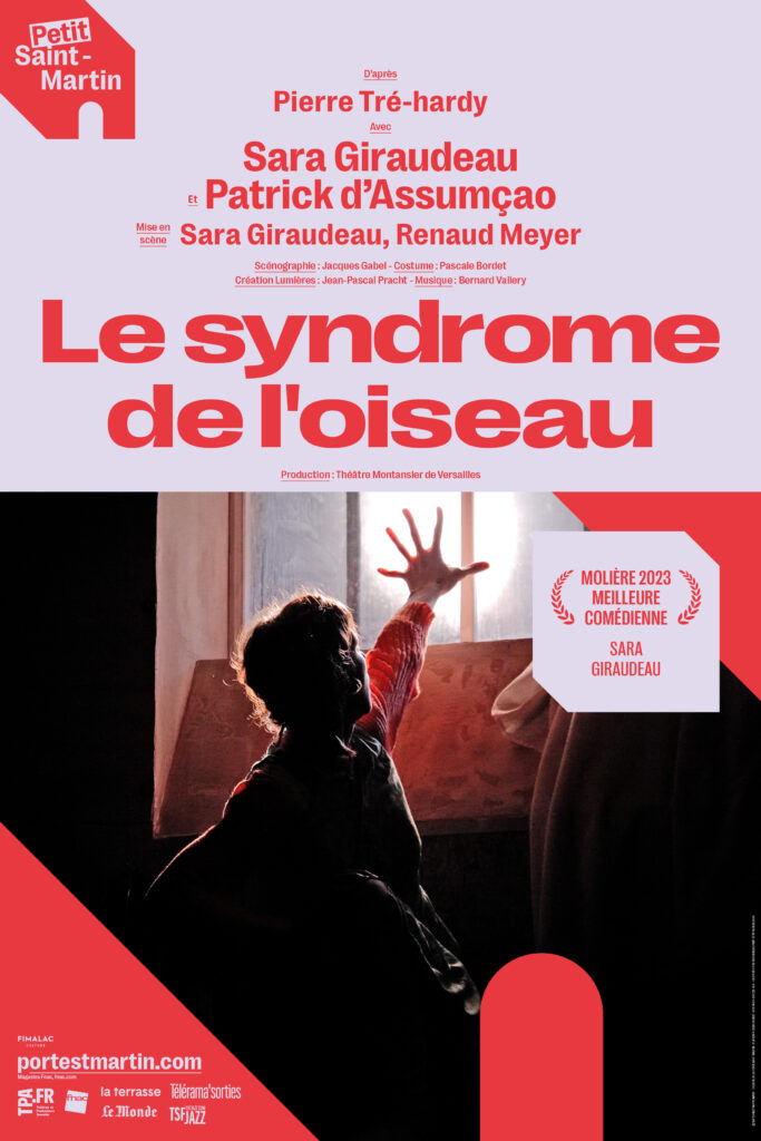 Affiche Le Syndrome de l'oiseau